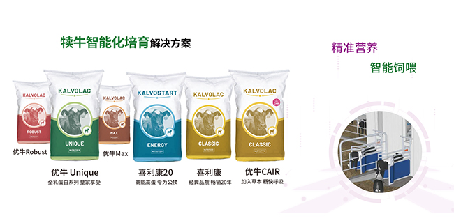 犢牛培育管理解決方案