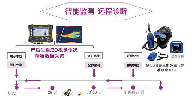 奶牛高效繁殖智能化解決方案