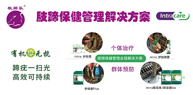 肢蹄保健管理解決方案