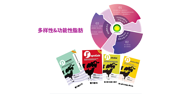過瘤胃脂肪綜合應用方案