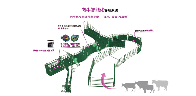 肉牛智能化管理系統方案