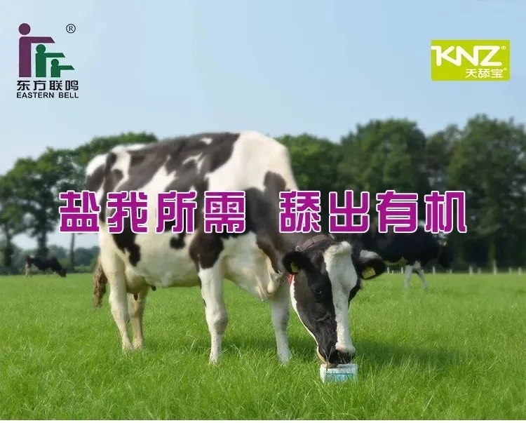直播預(yù)告丨“鹽我所需 舔出有機(jī)” ，我為自己帶鹽！