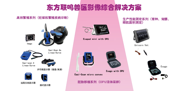 獸醫影像綜合解決方案