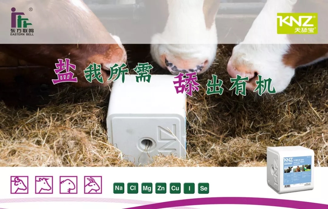 直播回顧 | 奶牛礦物質(zhì)需求及舔磚應(yīng)用