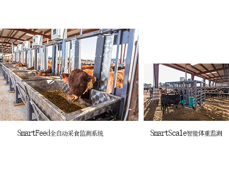 SmartFeed&SmartScale 智能監(jiān)測(cè)系統(tǒng)