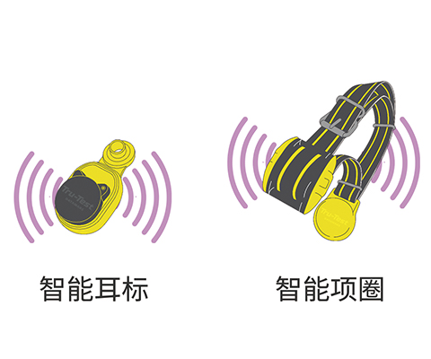 發(fā)情和健康監(jiān)測(cè)智能項(xiàng)圈/智能耳標(biāo)