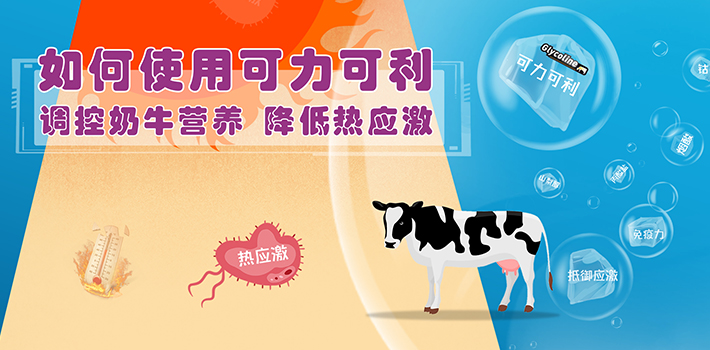 直播回顧 | 如何通過(guò)葡萄糖前體物可力可利緩減熱應(yīng)激？