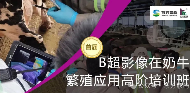 誠(chéng)邀報(bào)名 | 首屆B超影像在奶牛繁殖應(yīng)用高階培訓(xùn)班即將在京舉辦