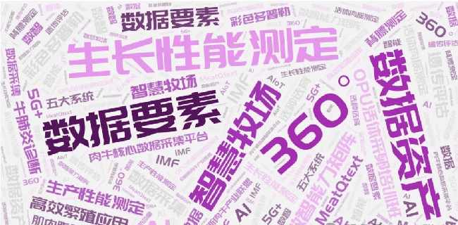 回顧2024展望2025 | 攜創(chuàng)新闊步而行，全面構(gòu)建數(shù)智新矩陣