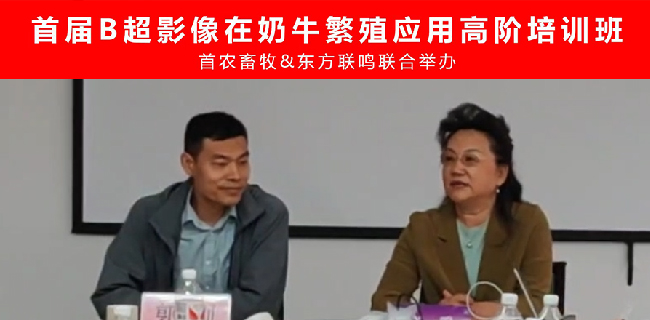 從AI到AI | 首屆B超影像在奶牛繁殖應(yīng)用高階培訓(xùn)班圓滿結(jié)束