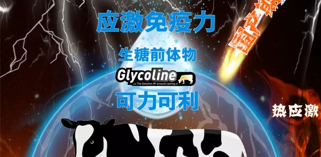 8月26日直播 | 腸漏、免疫應(yīng)答與低血糖--從能量策略角度看奶牛的應(yīng)激管理