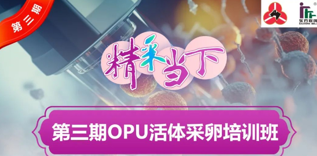 正式通知 | “精采當(dāng)下”第三期奶牛活體采卵（OPU）培訓(xùn)班開(kāi)班在即